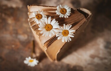 old-books-with-flowers-white-field-daisies