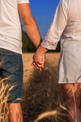 Unrecognizable man and woman holding hands in the middle of a wheat field. Farmers standing in a wheat field
