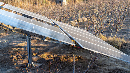 Solar panel plant for generation of renewable photovoltaic energy for agriculture use - obrazy, fototapety, plakaty