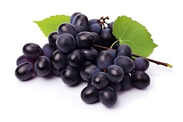 Fototapeta premium Black grapes with leaf isolated on white background