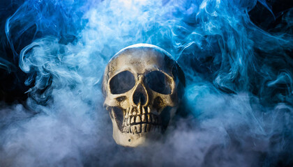 Close-up of scary human skull in smoky space. Horror concept. Death of human.