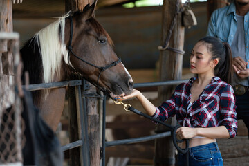 Beautiful young woman feeding her horse. Young adult Asian woman fashion in natural environment.
