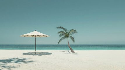 Fototapeta na wymiar Beach with palm tree and white umbrella