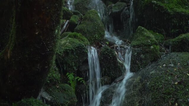 白谷雲水峡の小川