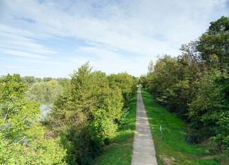 Naturschutzgebiet Rheinwald Neuenburg am Rhein im Schwarzwald. Wander- und Radweg entlang des Rheins
