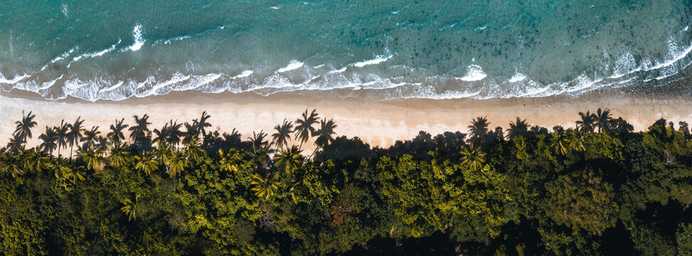 Aerial drone shot of Bingil Bay Beach at Mission Beach, Tropical North Queensland, Australia