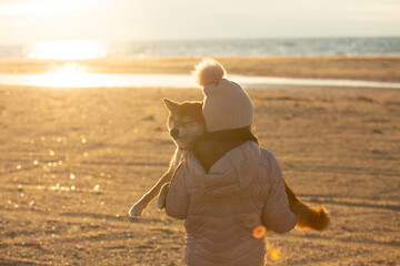 A young girl with a dog in nature. Kid girl sitting with a shiba inu dog on the beach at sunset in...