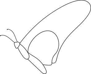 Butterfly outline illustration