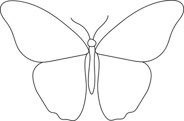 Butterfly outline illustration