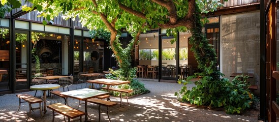 Fototapeta na wymiar Courtyard gardens with fig trees and grapevines provide shade and greenery in cafe spaces.