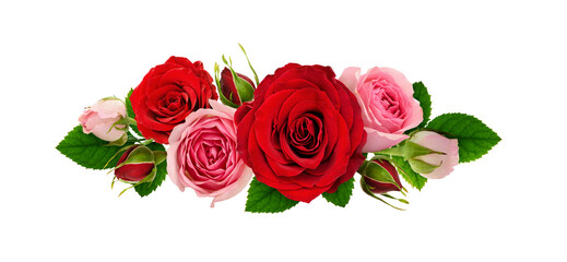 Red and pink rose flowers and green leaves in a line arrangement isolated on white or transparent background. Flat lay. Top view. - obrazy, fototapety, plakaty