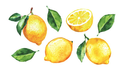 Lemon , set of lemons  on a transparent background , citron, watercolor illustration, lime , fruit, lemons and leaves, citrus