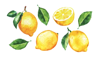 Foto op Plexiglas Lemon , set of lemons  on a transparent background , citron, watercolor illustration, lime , fruit, lemons and leaves, citrus © Nina