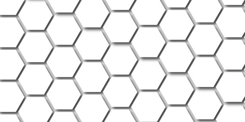 Fototapeta na wymiar Abstract white background with hexagonal shapes. white paper texture and futuristic business . Seamless background. Abstract honeycomb background. Surface polygon pattern with digital hexagon.