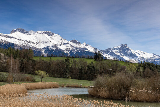 Etang du marais (Mens - Tri&egrave;ves - France - Alpes)