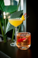 Two refreshing summer cocktails with lemon, mint, cranberry on a table