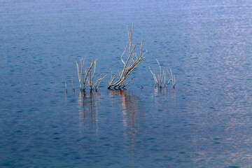 Lake Kinneret. The lake's coastline is the lowest landmass on Earth - obrazy, fototapety, plakaty