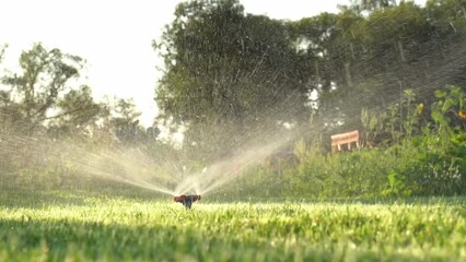 automatic watering of the green lawn