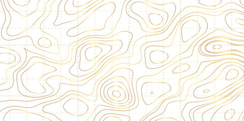 Topographic line contour map background, geographic grid map, Topographic map patterns, topography line map. Vintage outdoors style