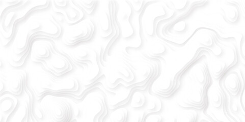 Abstract paper cut white background. Topographic canyon map light relief texture, curved layers and shadow. Art cut illustration for website template layout