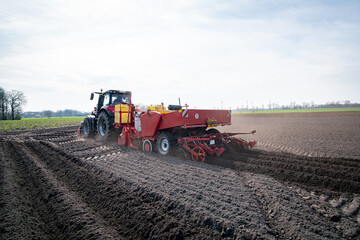 Obraz premium Anbau von Kartoffeln - Aussaat mit modernster Landtechnik.
