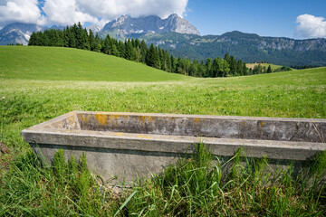 Heile Bergwelt - Steintrog für die Viehtränke auf einer grünen Alm im Hochgebirge der Alpen.