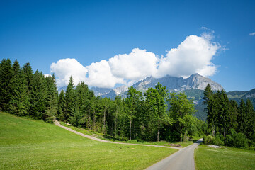 Alpenlandschaften im Frühjahr - schmaler Feldweg durch grüne Wiesen mit einem Hochgebirge im Hintergrund. - 784648882