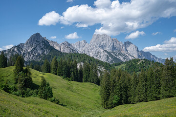 Österreichische Alpen - malerisches Hochgebirge mit grünen Almen und Tannenwald davor.