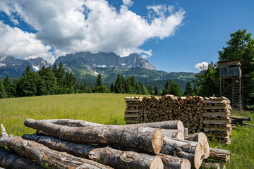 Geschichtetes Brennholz auf einer Freifläche mit den österreichischen Alpen im Hintergrund. - 784649621