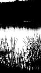 minimalist and abstract photography 