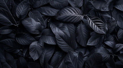 black plant leaves wallpaper 