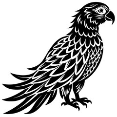 eagle vector illustration