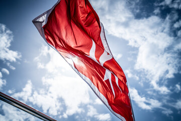 Malta flag in the wind. Sunny day - 784657630