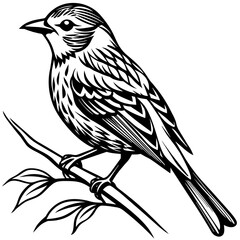     Bird on a branch vector illustration.
