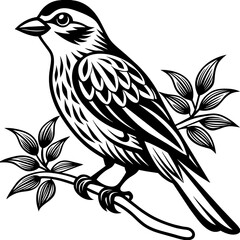     Bird on a branch vector illustration.
