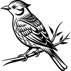     Bird on a branch vector illustration.
