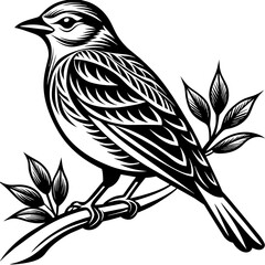     Bird on a branch vector illustration.
