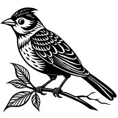     Bird on a branch vector illustration.
