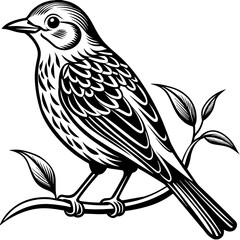     Bird on a branch vector illustration.
