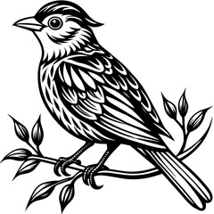     Bird on a branch vector illustration.
