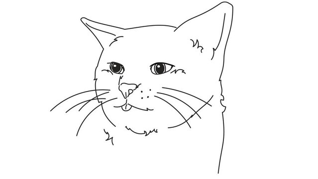 yawning cat, hand drawn frame-by-frame rotoscope animation	