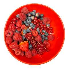 fruit / assiette de fruits rouge 