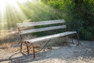 beautiful bench near the sea shore on nature background