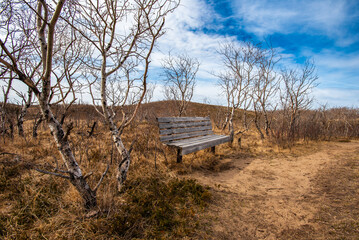 wooden bench in the countryside