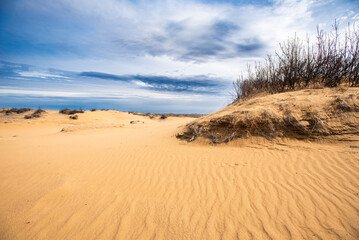 sand dunes in the morning