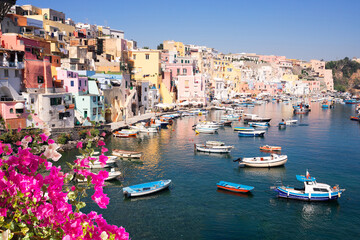 Procida island colorful town with harbor at summer with flowers, Italy - obrazy, fototapety, plakaty