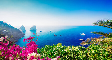 Famous Faraglioni cliffs and Tyrrhenian Sea clear blue water, Capri island, Italy with flowers, web...