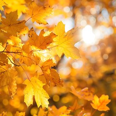Radiant Autumn Canopy: Vibrant Yellow and Orange Leaves Dance in Sunlight