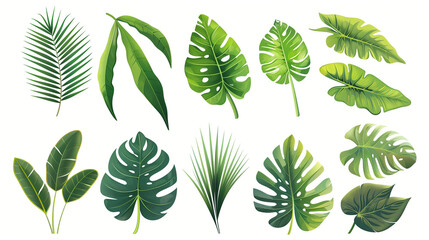 tropical leaves - obrazy, fototapety, plakaty