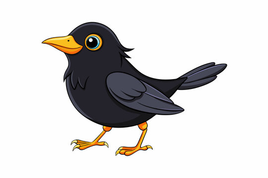 blackbird vector illustration